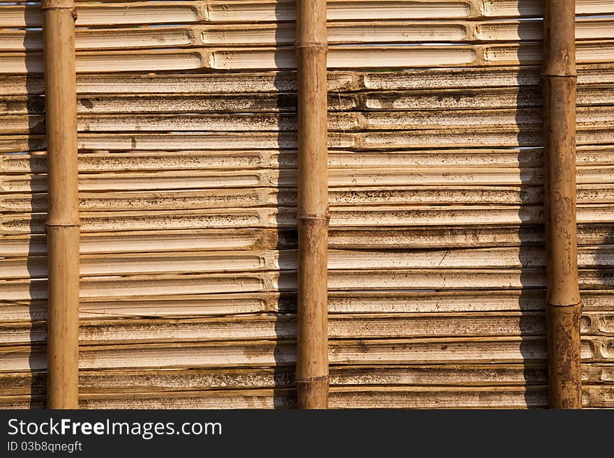 Bamboo Panel