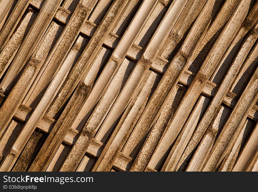 Bamboo Panel