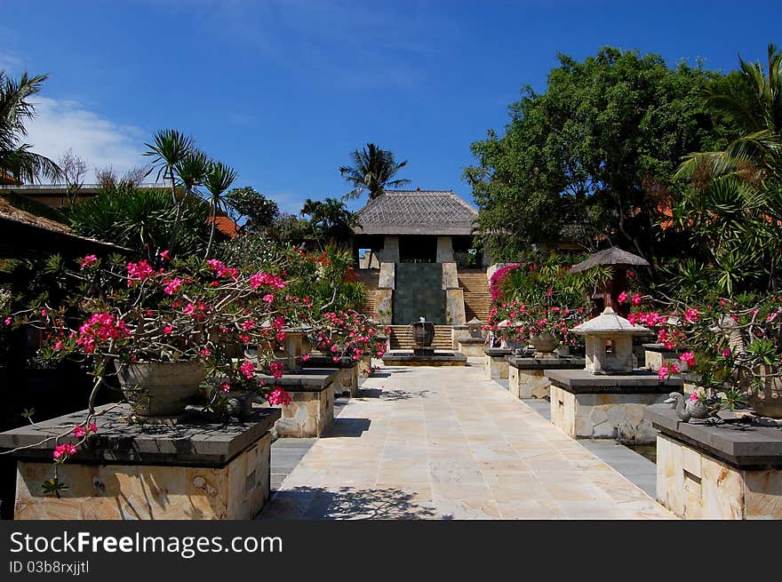 The garden in summer, Indonesia