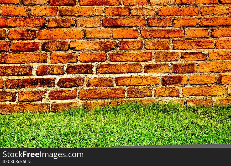 Old brick wall behind fresh grass under the sunlight. Old brick wall behind fresh grass under the sunlight.