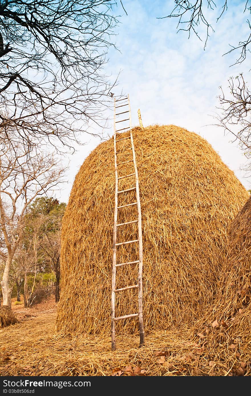 Pile of straw by product from rice field after collecting season. Pile of straw by product from rice field after collecting season.