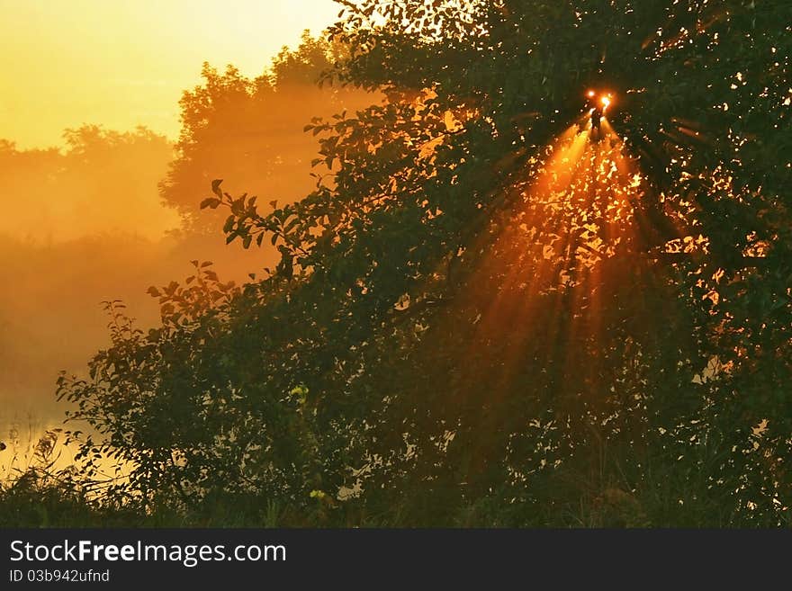 The rising sun pass through the fog