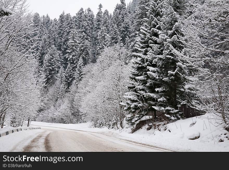 Road to mountains in the winter.