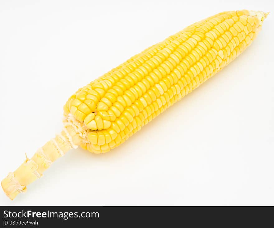 Fresh corn on white background