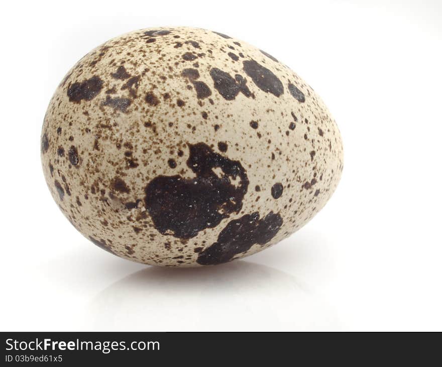 One single quail egg isolated with white background