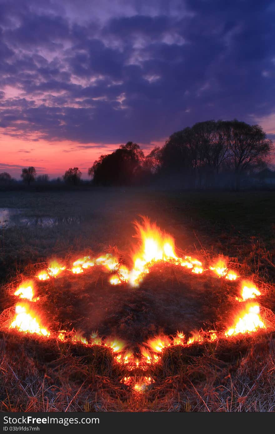 Spring fires in a field