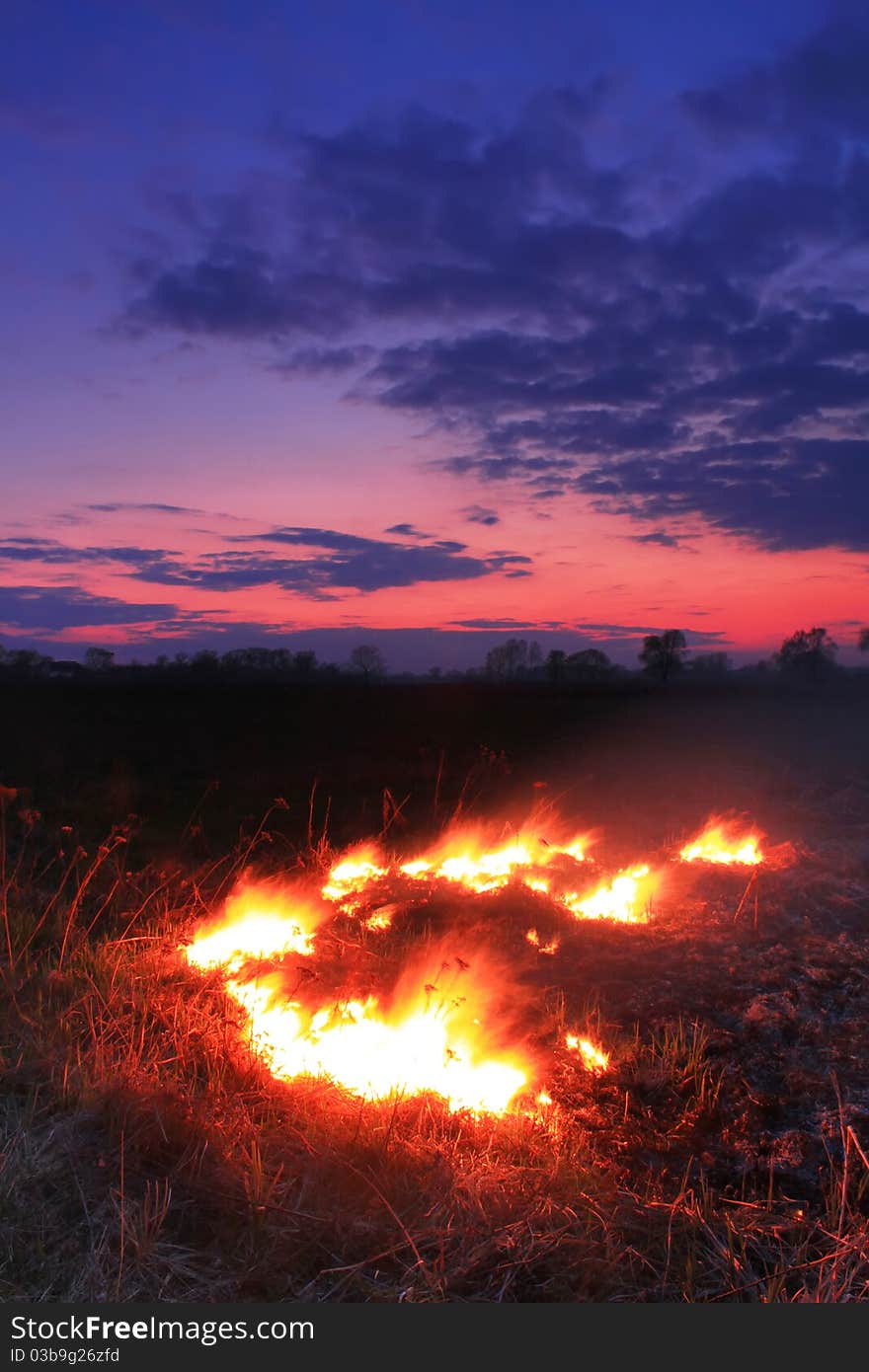 Spring fires in a field