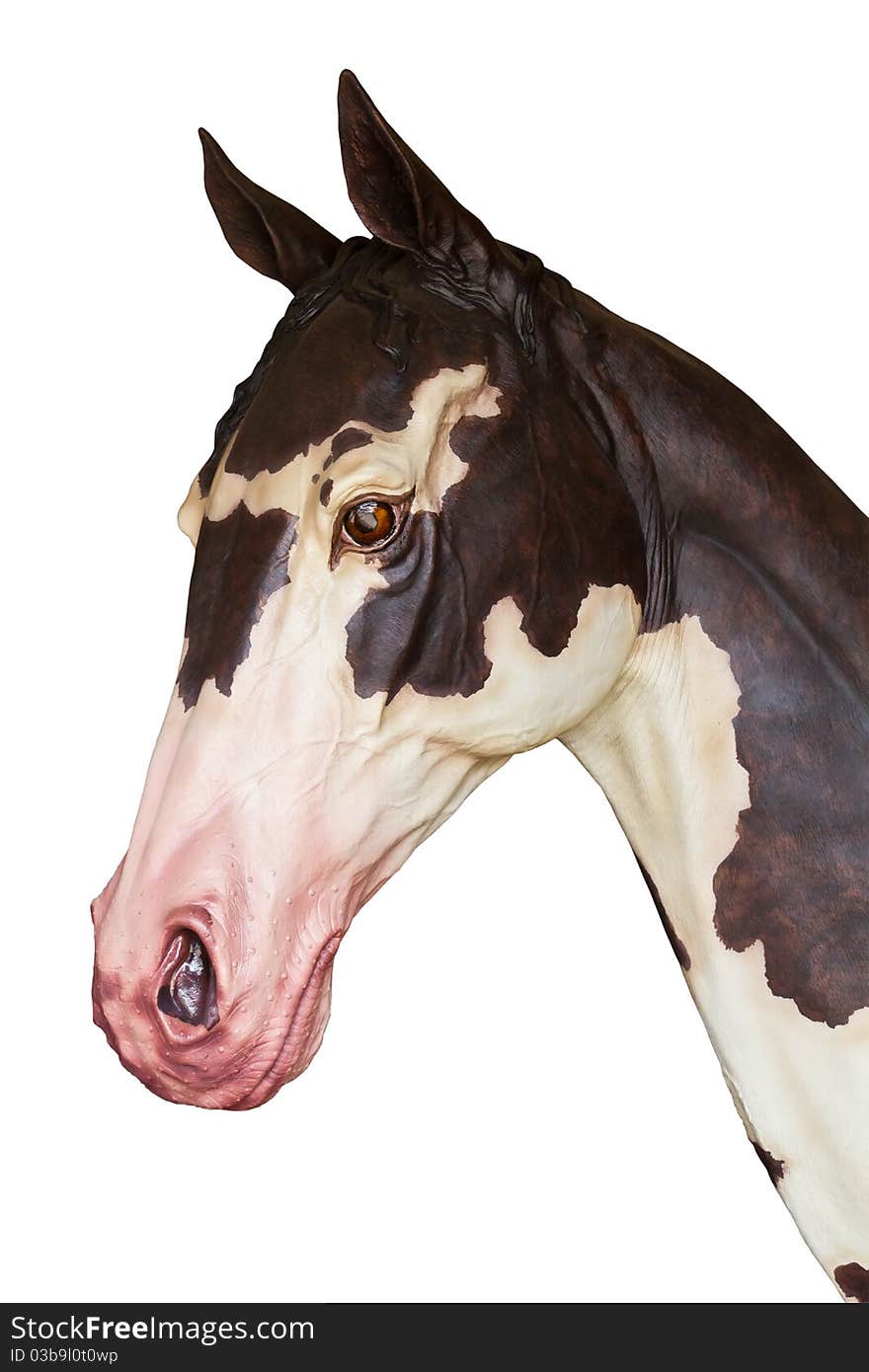 Head of horse statue