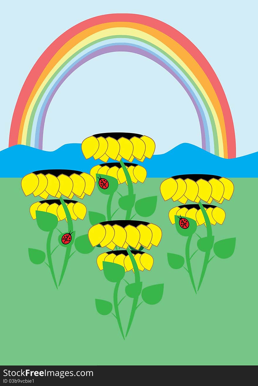 Sunflowers and rainbow. Illustration. Clip