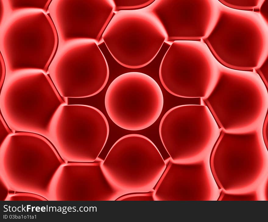 Red Blood Cells