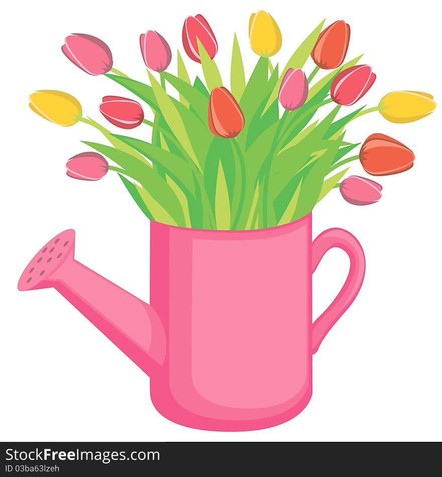 Bouquest of tulips flowers in the watering can. Bouquest of tulips flowers in the watering can