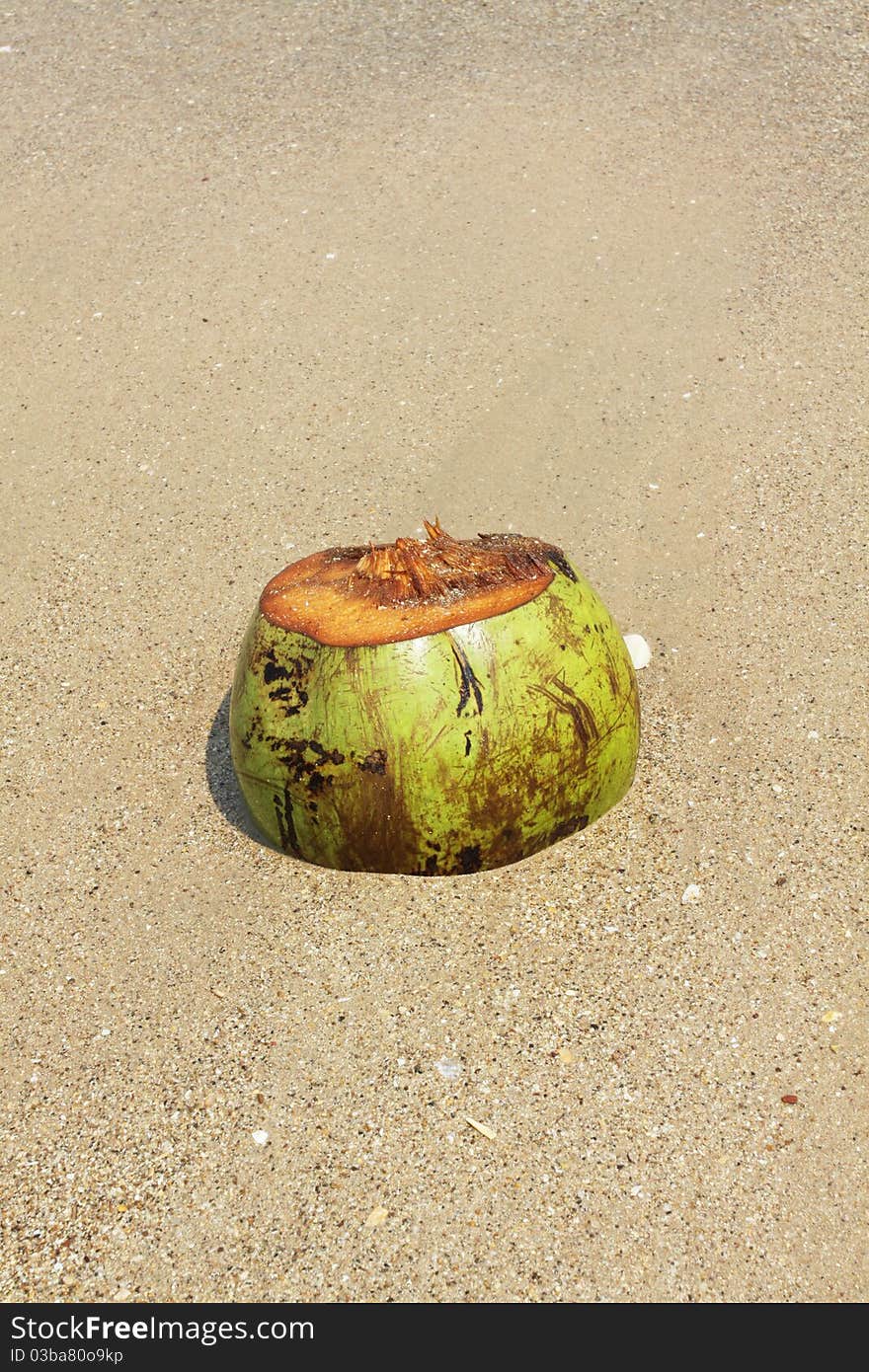 Unused Coconut