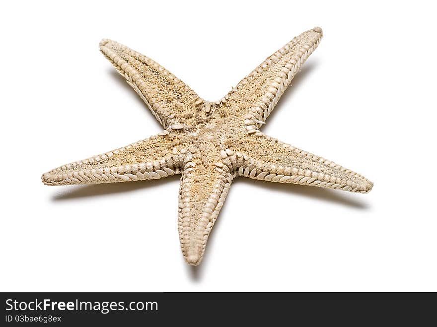 A starfish isolated on a white background. A starfish isolated on a white background.