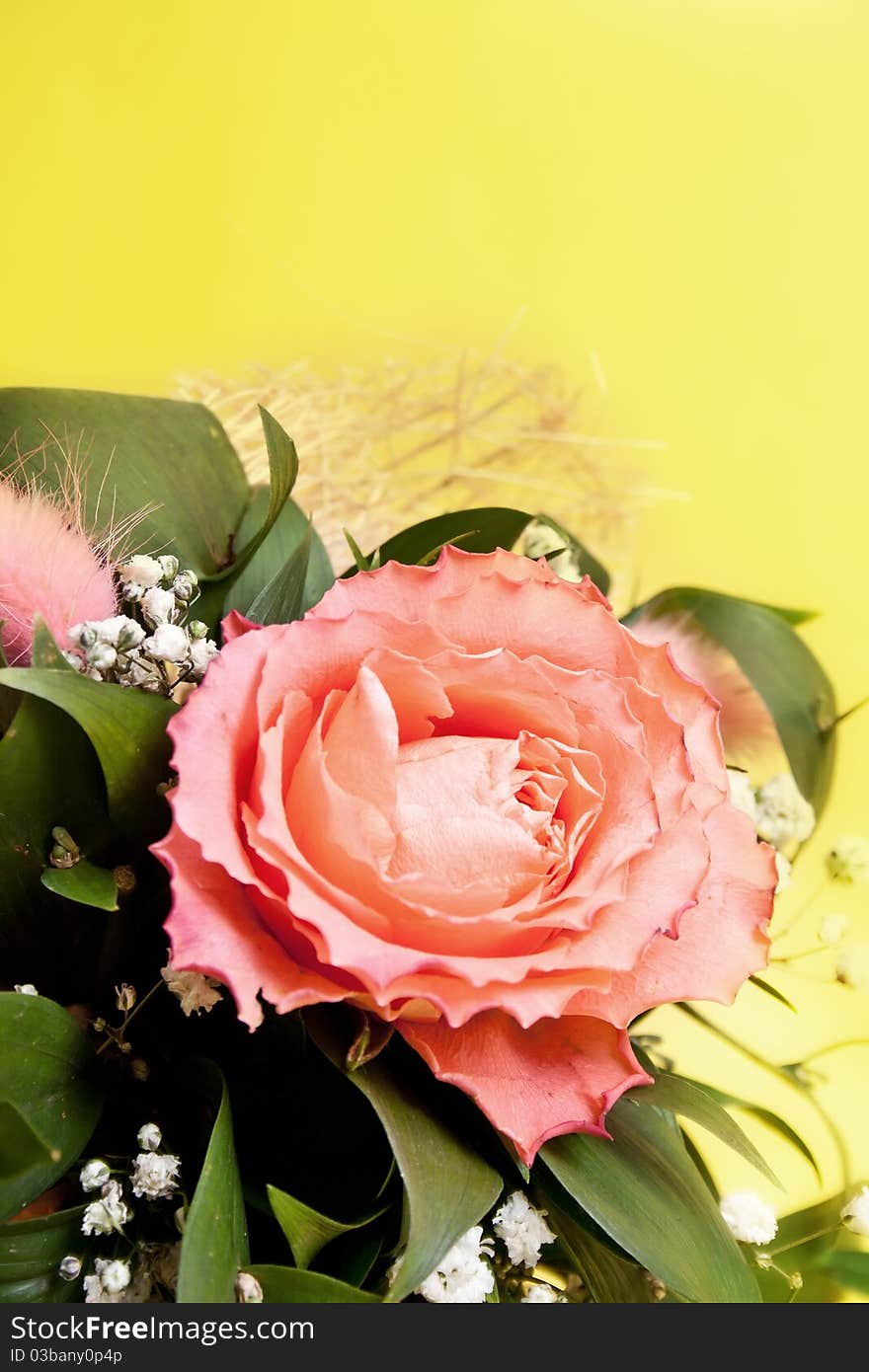 Spring flower over a yellow background. Spring flower over a yellow background