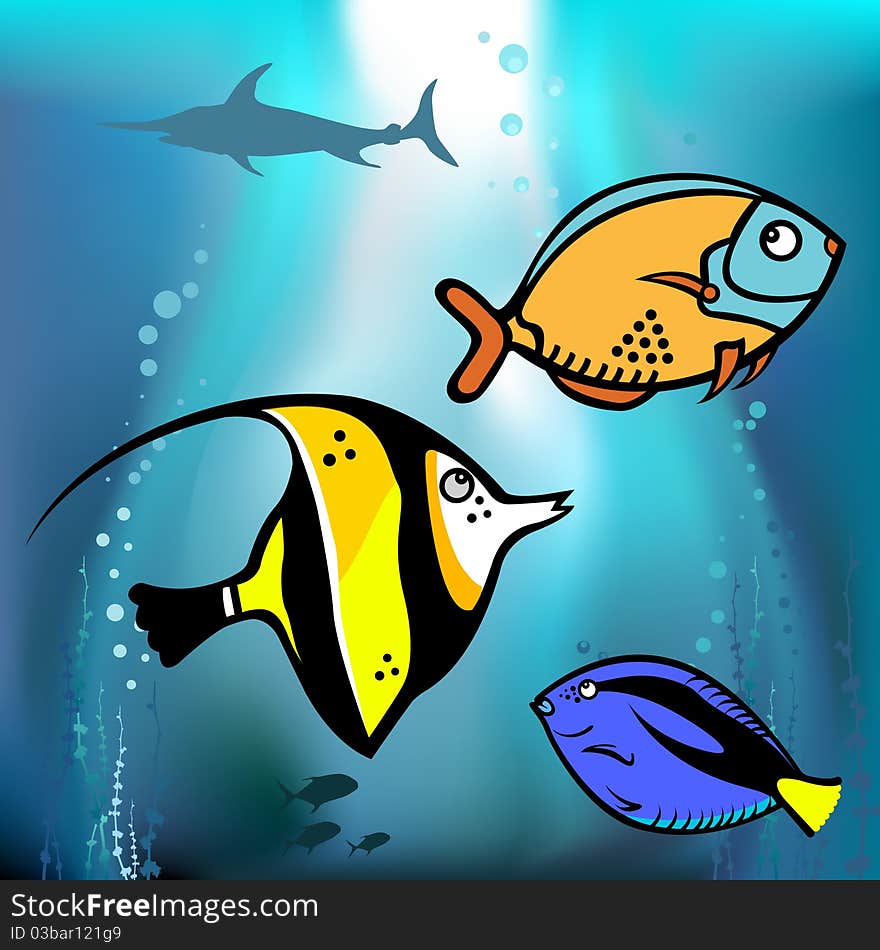 Fish graphic