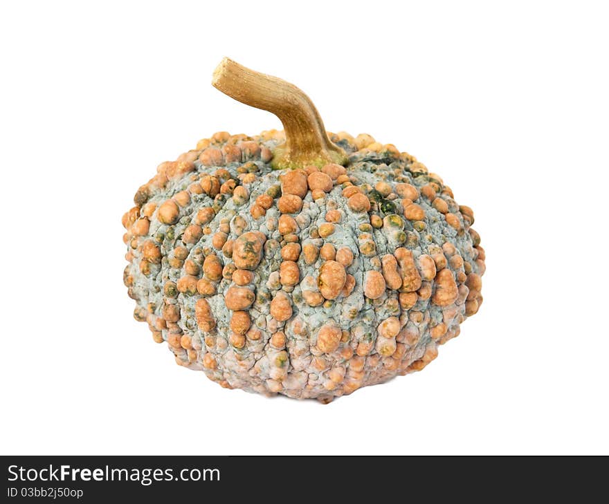 Pumpkin on white background