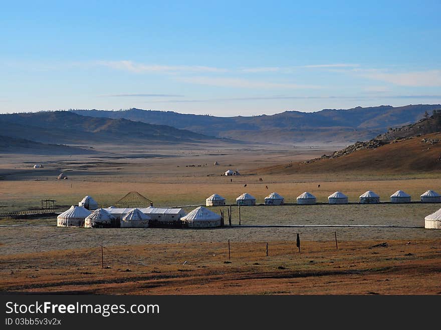 Several Mongolian yurts in the grassland.