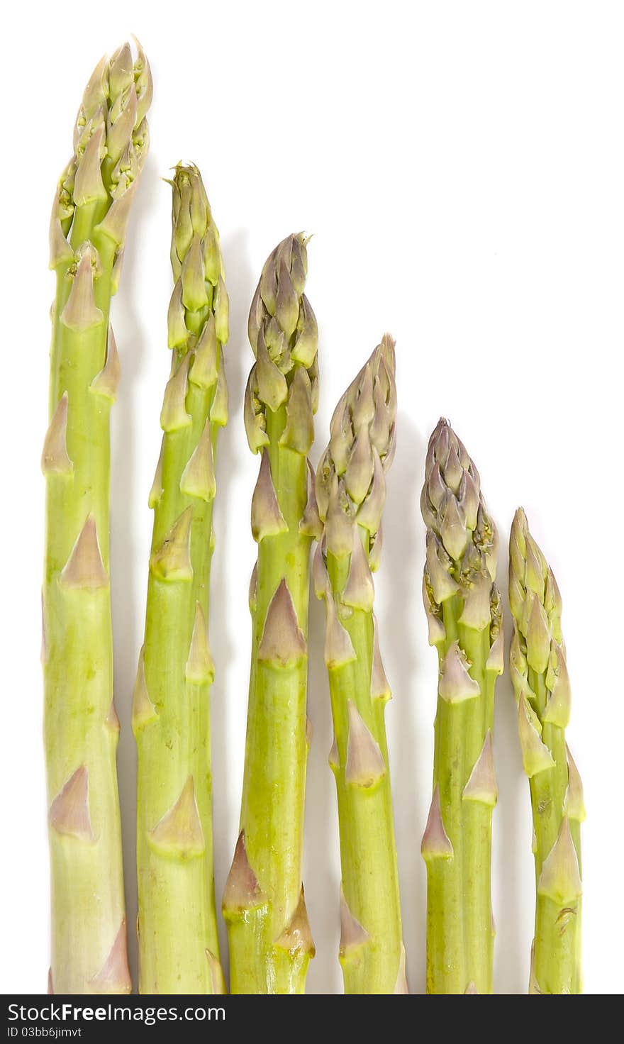 Hierarchy of Asparagus