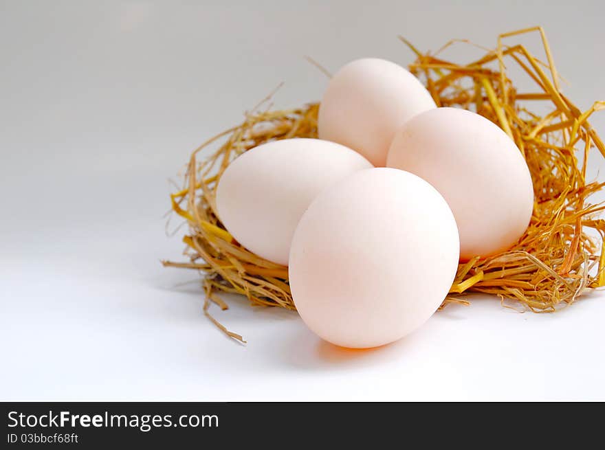 Four white eggs on the net. Four white eggs on the net