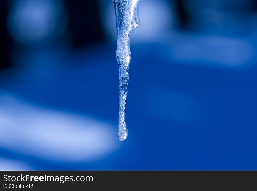 Shining Icicle in cold blue light