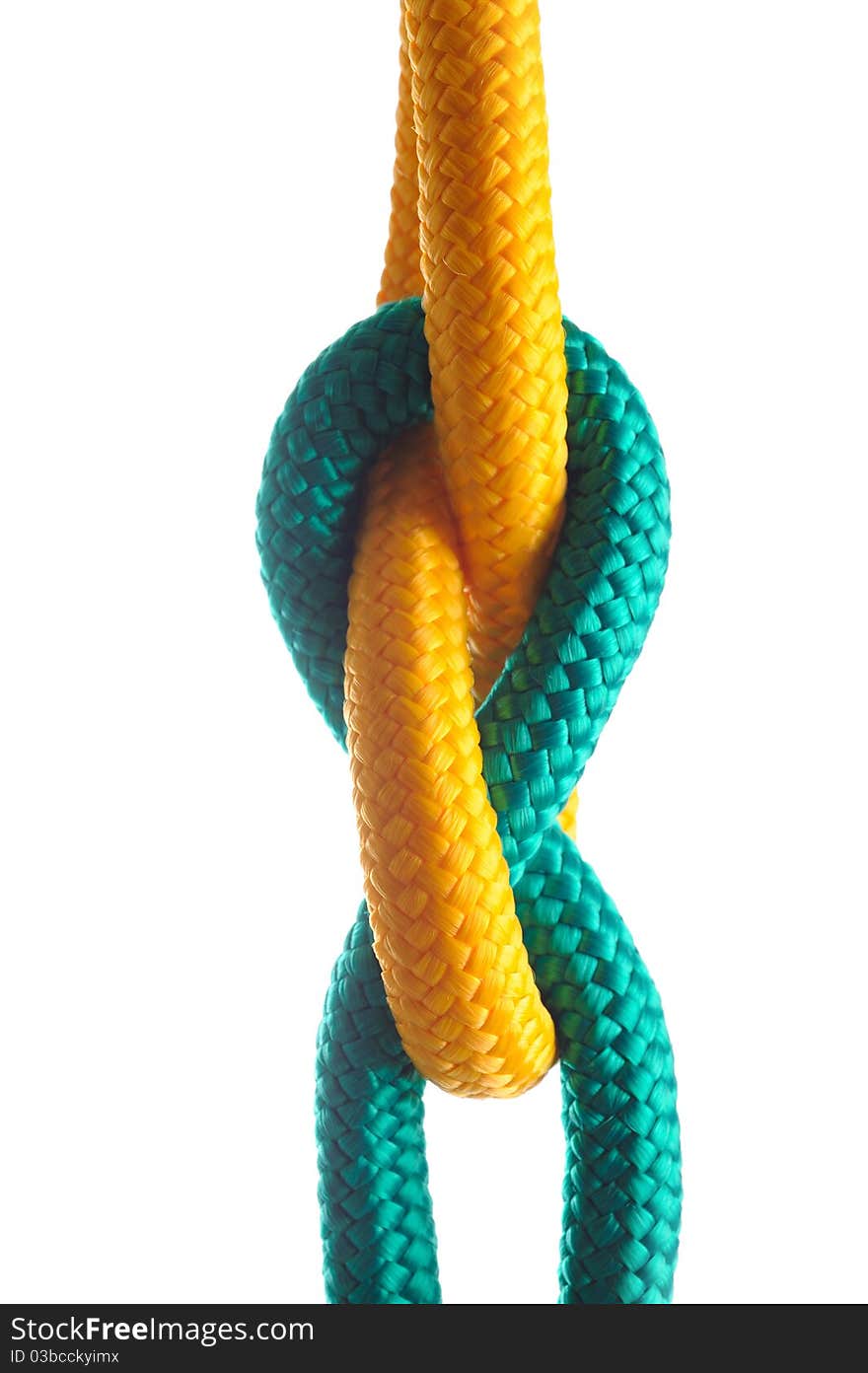 Rope with marine knot on white background.