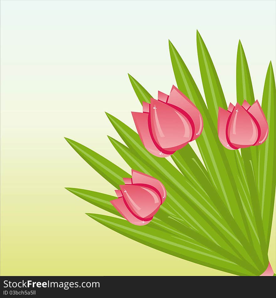 Glossy bunch of pink tulips background. Glossy bunch of pink tulips background