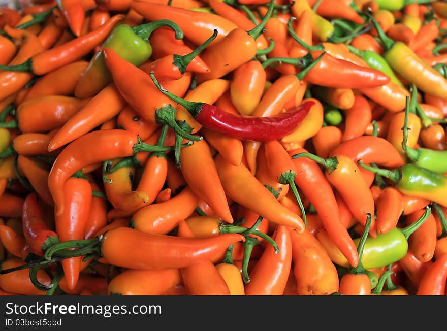 Colorful Chili Texture red green orange