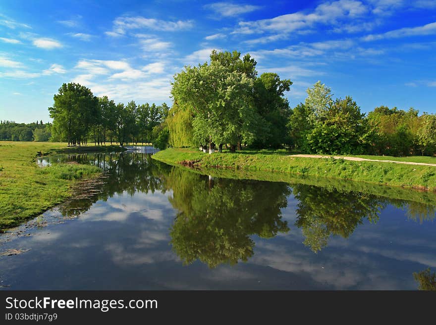 Reflection of the spring forest in the river