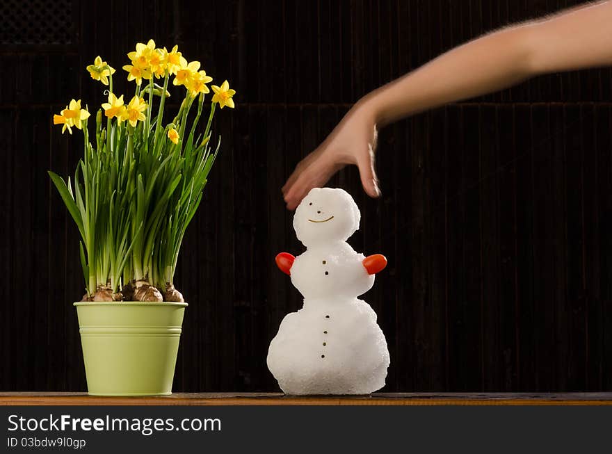 A snowman and some spring flowers in the sun - ones life begins, the other ones ends. A snowman and some spring flowers in the sun - ones life begins, the other ones ends.