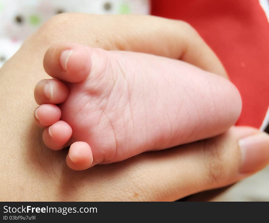 Baby Foot held by father's hand