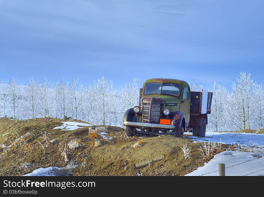 An old antique truck from the 1950's left on the side of the road. An old antique truck from the 1950's left on the side of the road.