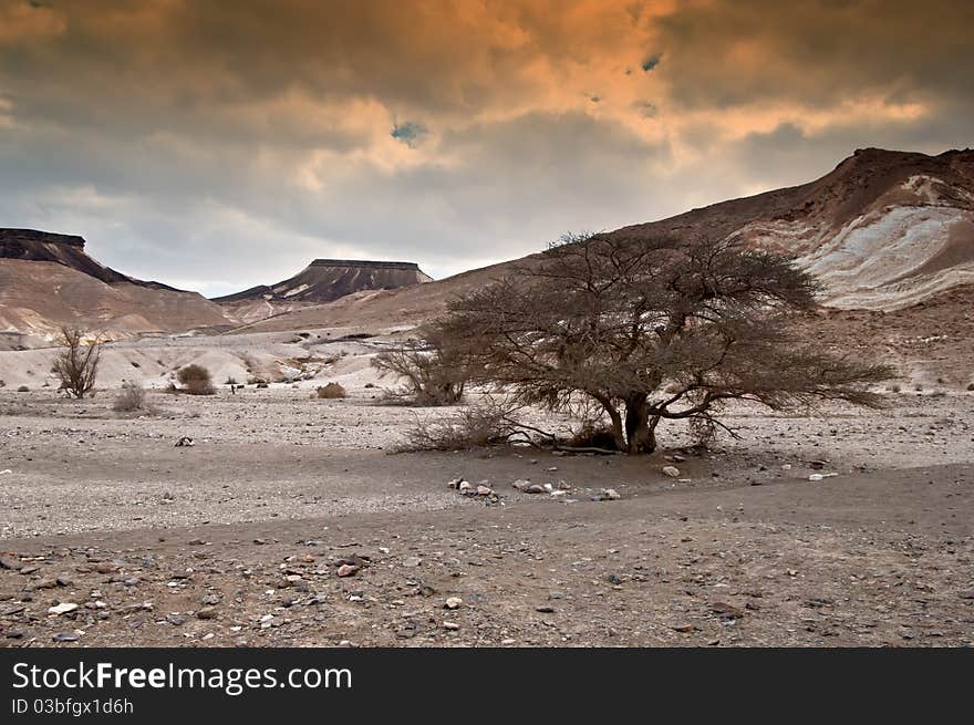 View on desert of Negev, Israel