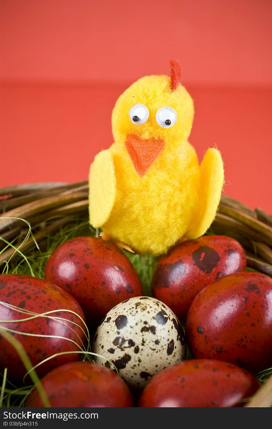 Easter eggs and chicken on red background