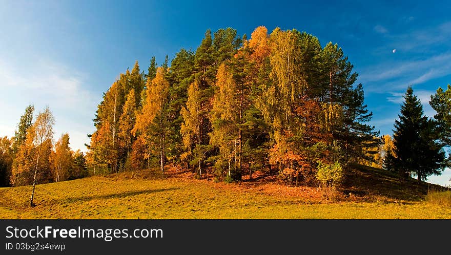 Autumn landscape in the forest with blue sky and the moon