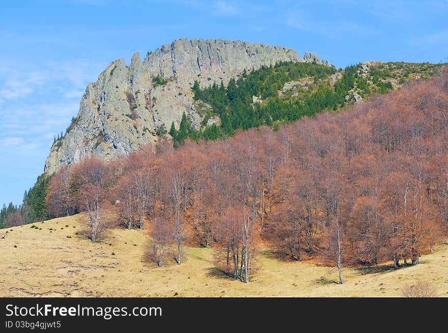 Stone cliff with brown forest