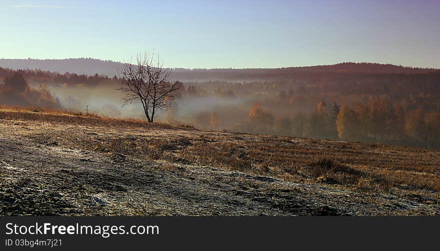 Romantic morning landscape in autumn