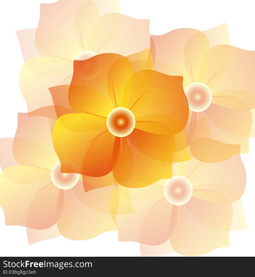 Gradient flowers in white background