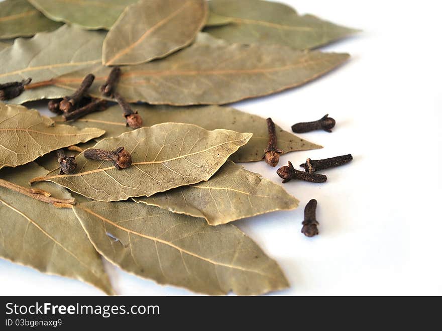 Dry bay leaf and  spice cloves on white background