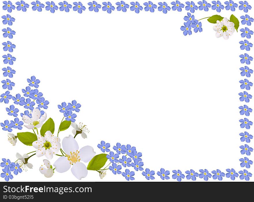 Illustration with white and blue spring flowers frame