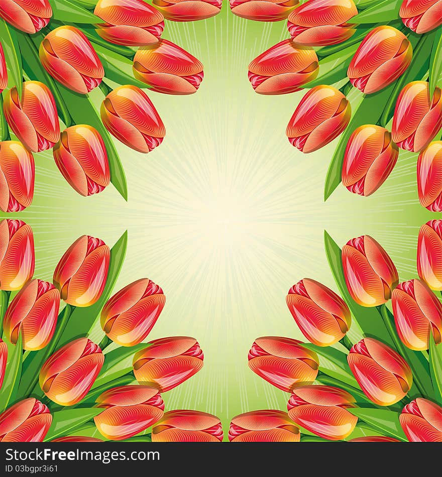 Spring green background with frame and red tulips.Clipping Mask. Spring green background with frame and red tulips.Clipping Mask