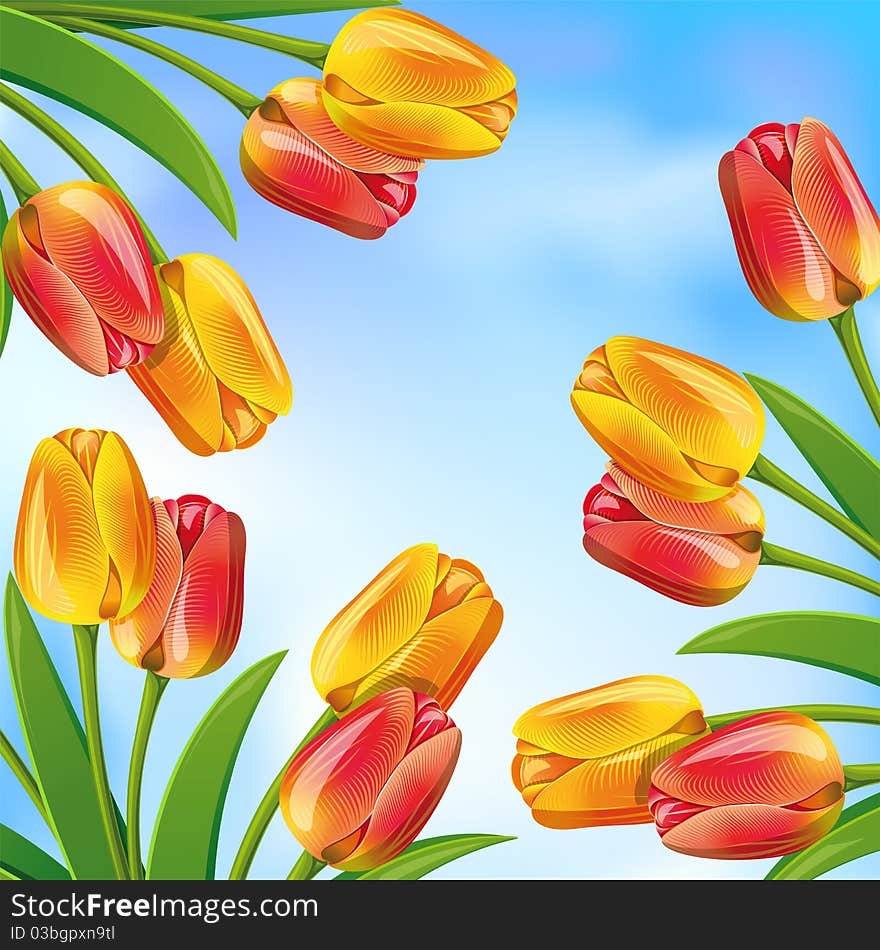 Spring background with blue sky and tulips.Clipping Mask