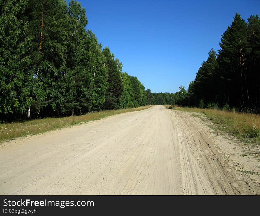 There are trees, forest and road