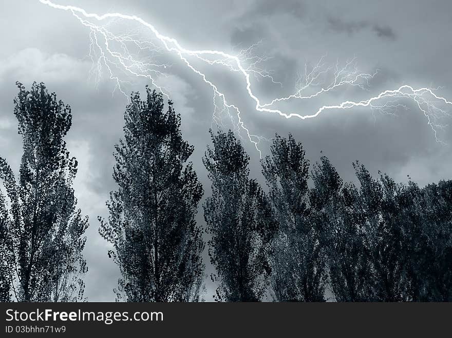 Lightning Over The Tree