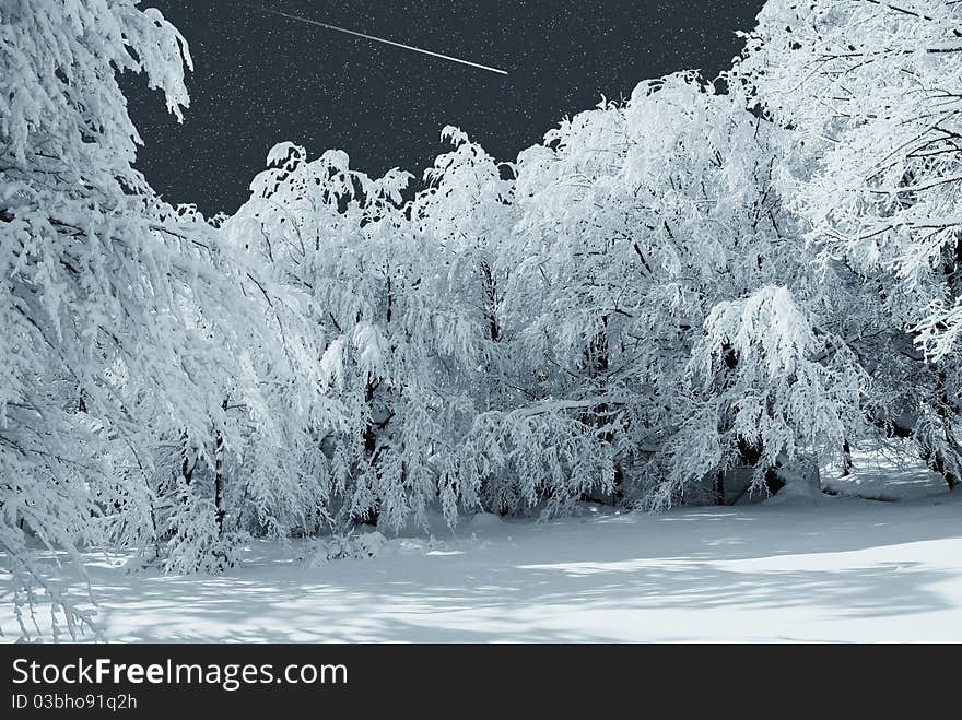 Falling star on the snowy forest. Falling star on the snowy forest