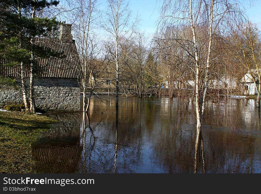 Trees and houses in flood water in spring. Trees and houses in flood water in spring