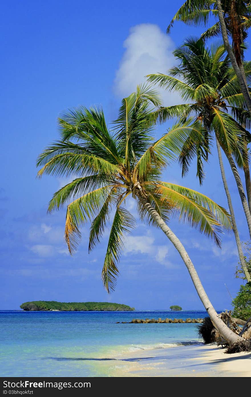 Maldives: Blue Planet