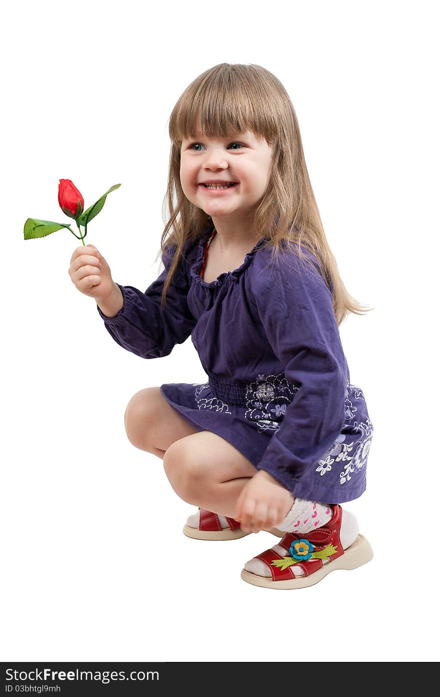 Young girl in purple dress sit with red rose isolated on white background. Young girl in purple dress sit with red rose isolated on white background