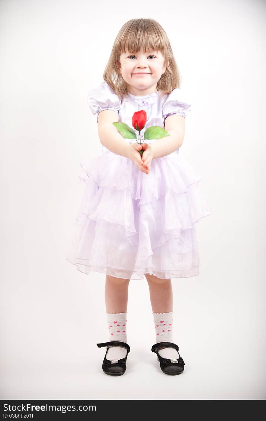 Young girl in pink dress with red rose. Young girl in pink dress with red rose