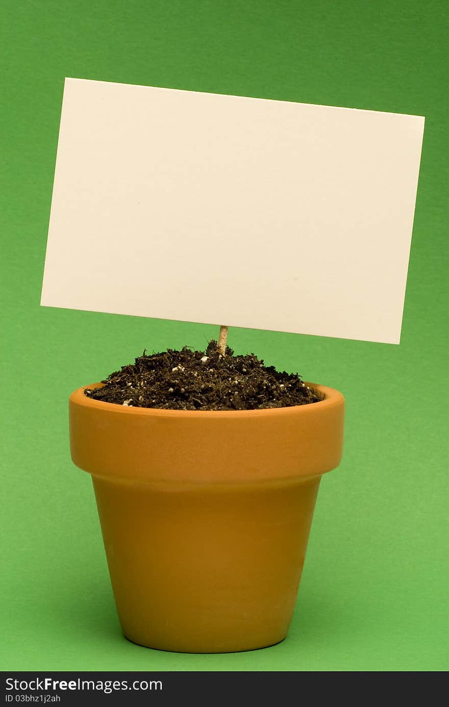 Blank Sign in Little Flower Pot