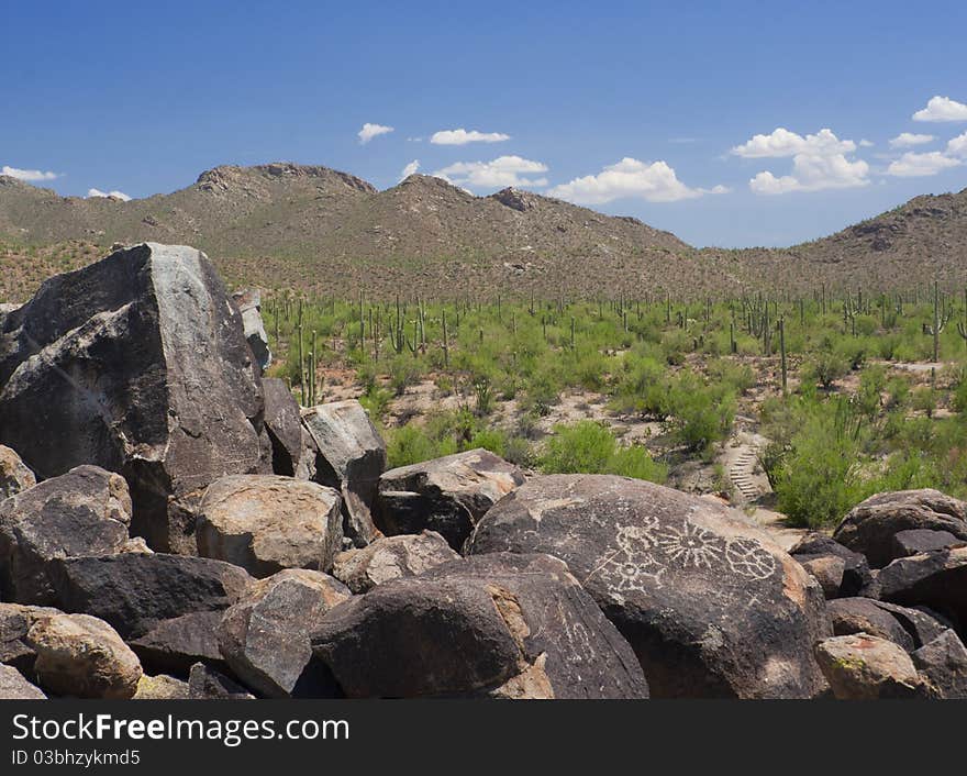 Indian petroglyphs and saguaros, Arizona. Indian petroglyphs and saguaros, Arizona